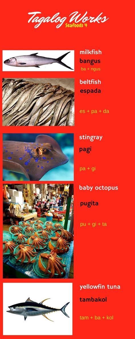 octopus in filipino|Translate 'Octopus' into Tagalog .